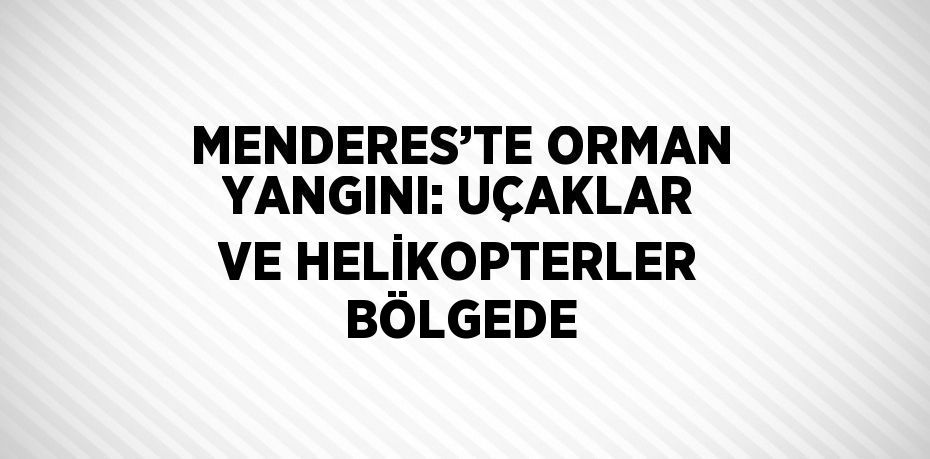 MENDERES’TE ORMAN YANGINI: UÇAKLAR VE HELİKOPTERLER BÖLGEDE