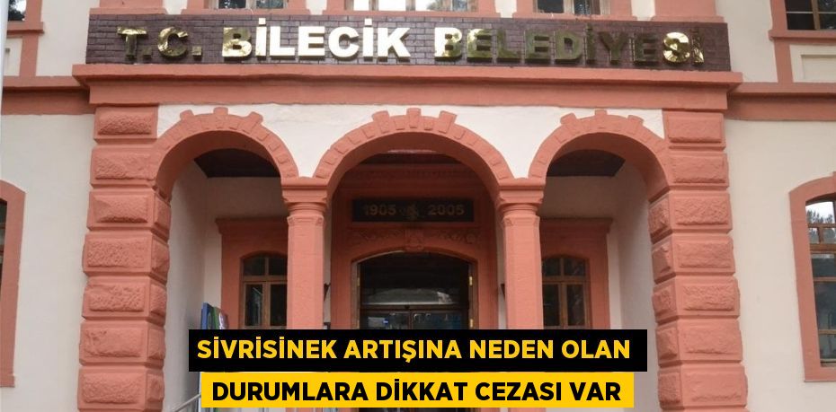 SİVRİSİNEK ARTIŞINA NEDEN OLAN DURUMLARA DİKKAT CEZASI VAR