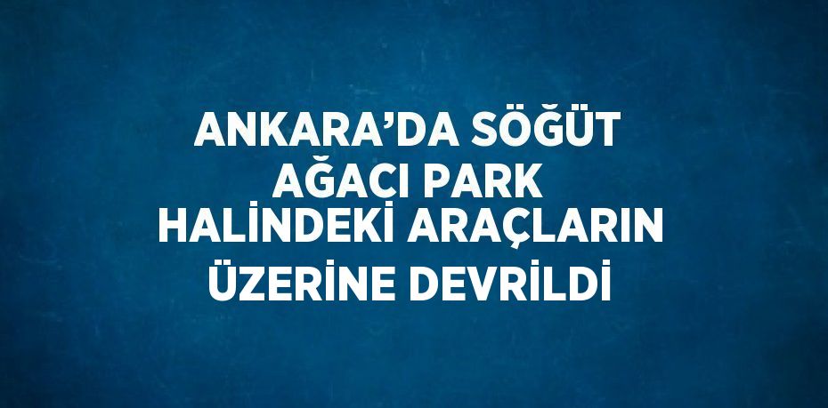 ANKARA’DA SÖĞÜT AĞACI PARK HALİNDEKİ ARAÇLARIN ÜZERİNE DEVRİLDİ