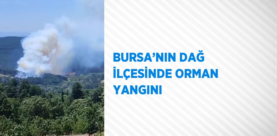 BURSA’NIN DAĞ İLÇESİNDE ORMAN YANGINI