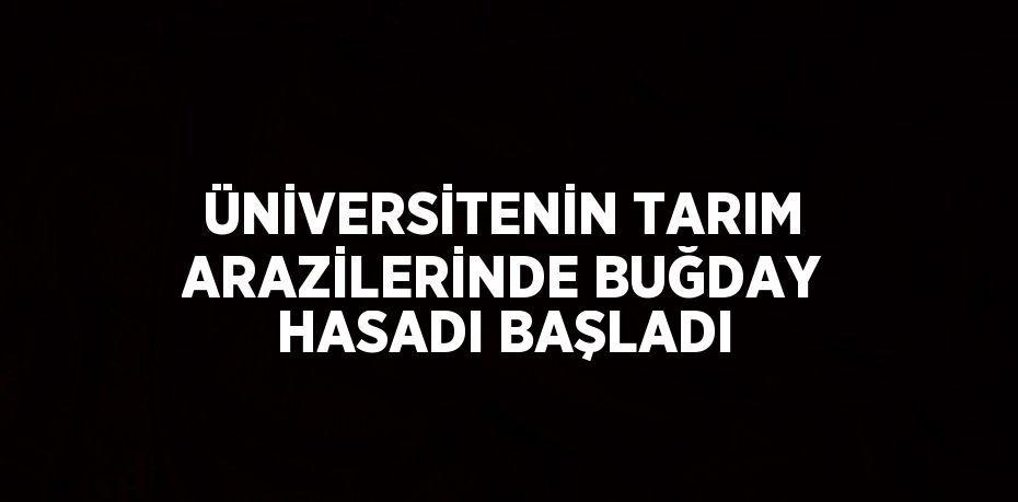 ÜNİVERSİTENİN TARIM ARAZİLERİNDE BUĞDAY HASADI BAŞLADI