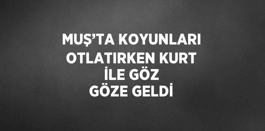 MUŞ’TA KOYUNLARI OTLATIRKEN KURT İLE GÖZ GÖZE GELDİ