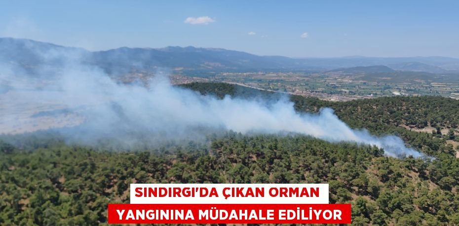 SINDIRGI’DA ÇIKAN ORMAN  YANGININA MÜDAHALE EDİLİYOR