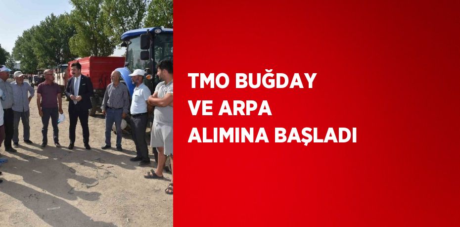 TMO BUĞDAY VE ARPA ALIMINA BAŞLADI