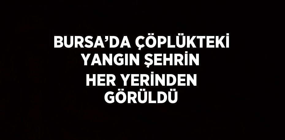 BURSA’DA ÇÖPLÜKTEKİ YANGIN ŞEHRİN HER YERİNDEN GÖRÜLDÜ