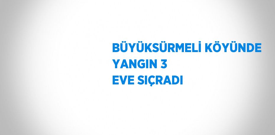 BÜYÜKSÜRMELİ KÖYÜNDE YANGIN 3 EVE SIÇRADI