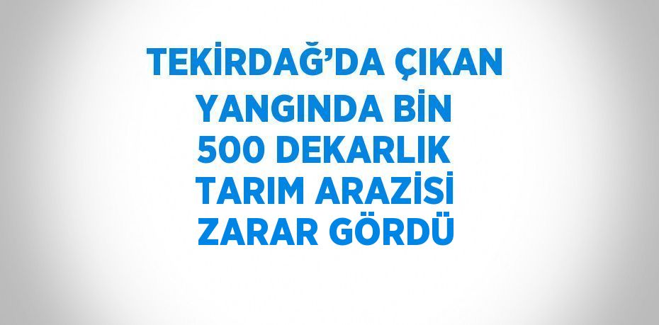 TEKİRDAĞ’DA ÇIKAN YANGINDA BİN 500 DEKARLIK TARIM ARAZİSİ ZARAR GÖRDÜ