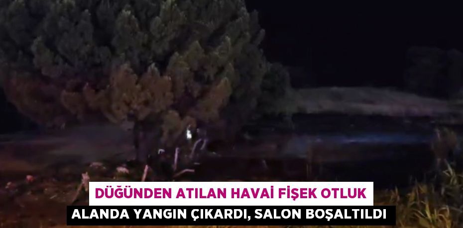DÜĞÜNDEN ATILAN HAVAİ FİŞEK OTLUK ALANDA YANGIN ÇIKARDI, SALON BOŞALTILDI