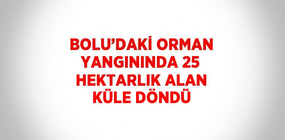 BOLU’DAKİ ORMAN YANGININDA 25 HEKTARLIK ALAN KÜLE DÖNDÜ