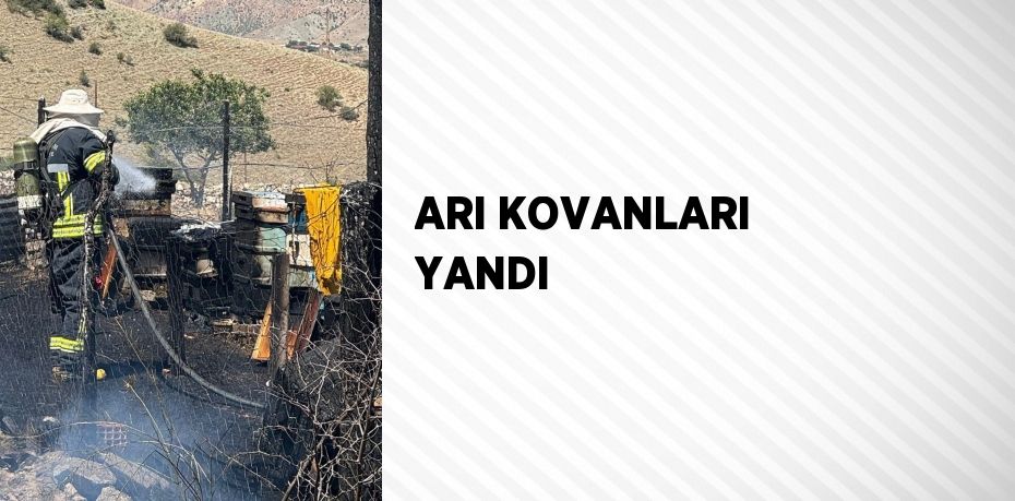 ARI KOVANLARI YANDI