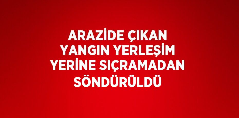 ARAZİDE ÇIKAN YANGIN YERLEŞİM YERİNE SIÇRAMADAN SÖNDÜRÜLDÜ