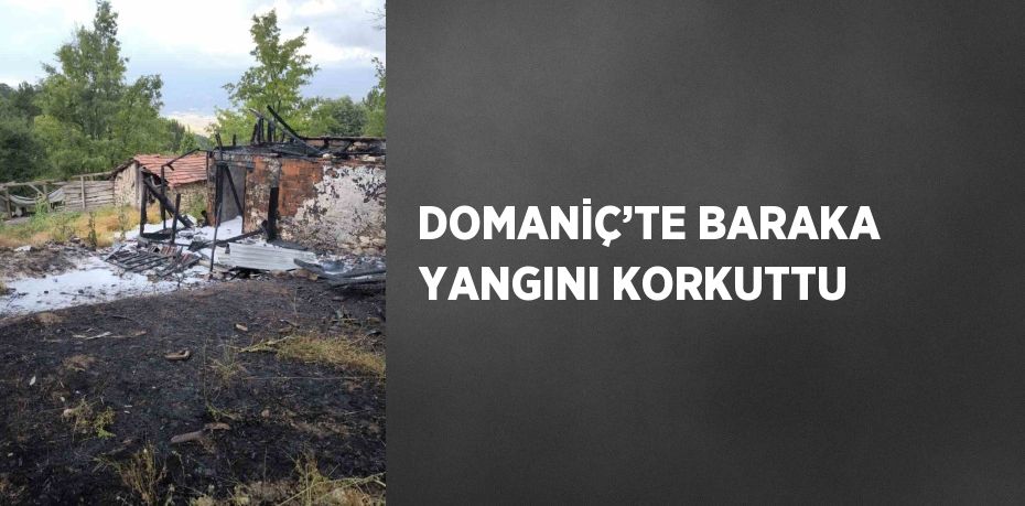 DOMANİÇ’TE BARAKA YANGINI KORKUTTU