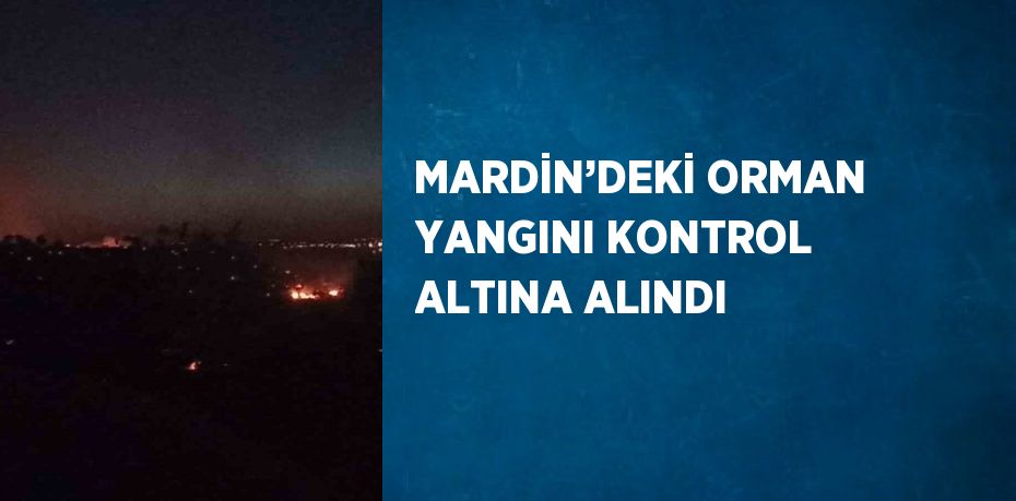 MARDİN’DEKİ ORMAN YANGINI KONTROL ALTINA ALINDI