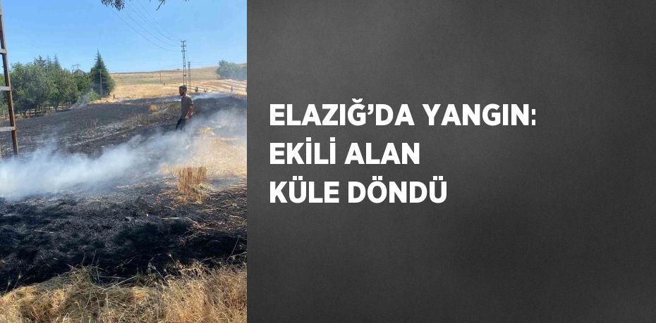ELAZIĞ’DA YANGIN: EKİLİ ALAN KÜLE DÖNDÜ