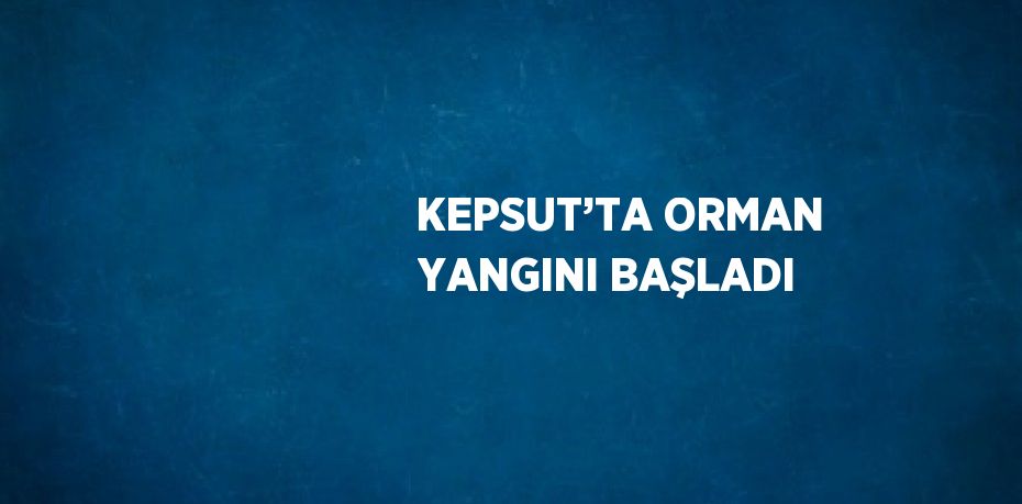 KEPSUT’TA ORMAN YANGINI BAŞLADI