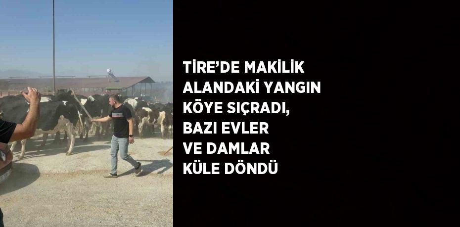 TİRE’DE MAKİLİK ALANDAKİ YANGIN KÖYE SIÇRADI, BAZI EVLER VE DAMLAR KÜLE DÖNDÜ