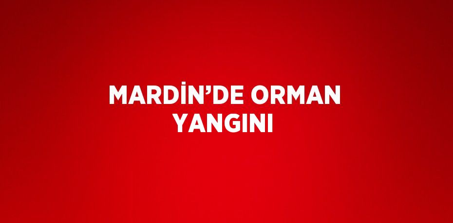 MARDİN’DE ORMAN YANGINI