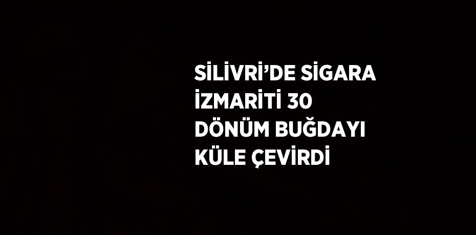 SİLİVRİ’DE SİGARA İZMARİTİ 30 DÖNÜM BUĞDAYI KÜLE ÇEVİRDİ