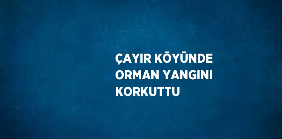 ÇAYIR KÖYÜNDE ORMAN YANGINI KORKUTTU