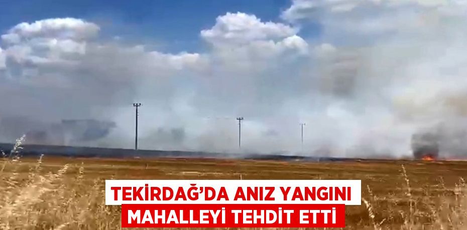 TEKİRDAĞ’DA ANIZ YANGINI MAHALLEYİ TEHDİT ETTİ