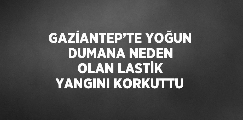 GAZİANTEP’TE YOĞUN DUMANA NEDEN OLAN LASTİK YANGINI KORKUTTU