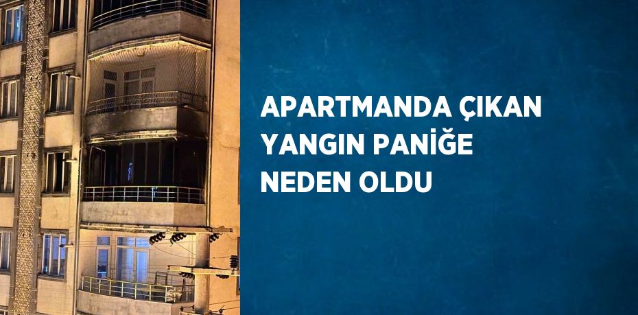 APARTMANDA ÇIKAN YANGIN PANİĞE NEDEN OLDU