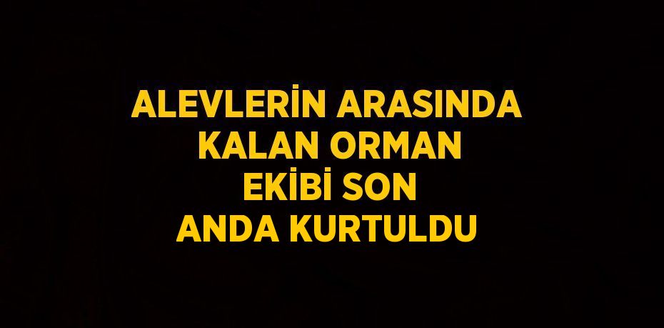 ALEVLERİN ARASINDA KALAN ORMAN EKİBİ SON ANDA KURTULDU