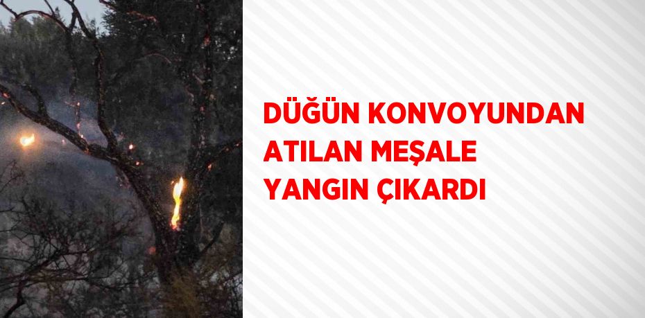DÜĞÜN KONVOYUNDAN ATILAN MEŞALE YANGIN ÇIKARDI