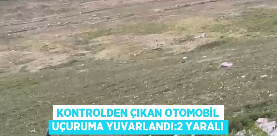 KONTROLDEN ÇIKAN OTOMOBİL UÇURUMA YUVARLANDI:2 YARALI