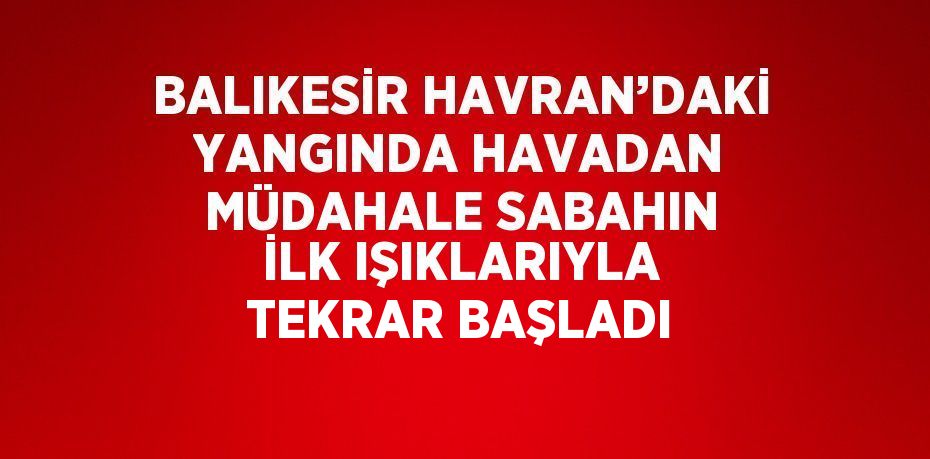 BALIKESİR HAVRAN’DAKİ YANGINDA HAVADAN MÜDAHALE SABAHIN İLK IŞIKLARIYLA TEKRAR BAŞLADI
