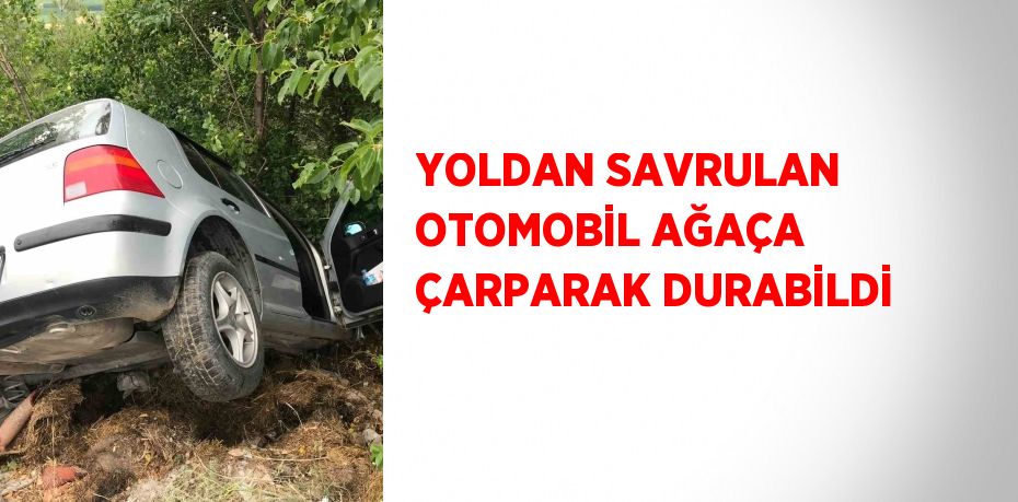 YOLDAN SAVRULAN OTOMOBİL AĞAÇA ÇARPARAK DURABİLDİ
