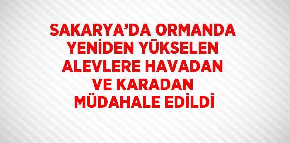 SAKARYA’DA ORMANDA YENİDEN YÜKSELEN ALEVLERE HAVADAN VE KARADAN MÜDAHALE EDİLDİ