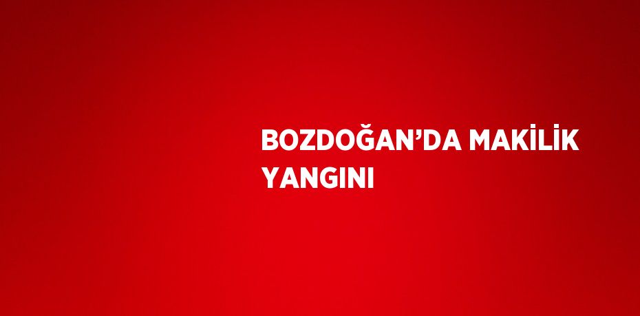 BOZDOĞAN’DA MAKİLİK YANGINI