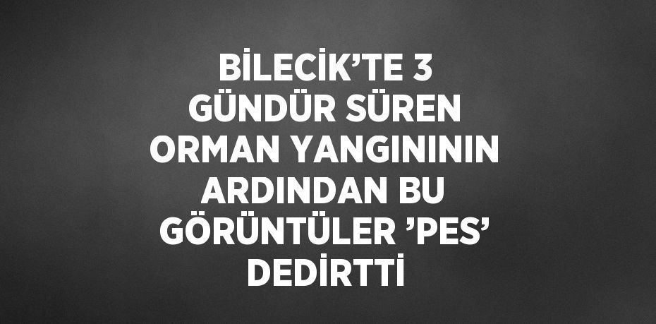 BİLECİK’TE 3 GÜNDÜR SÜREN ORMAN YANGINININ ARDINDAN BU GÖRÜNTÜLER ’PES’ DEDİRTTİ