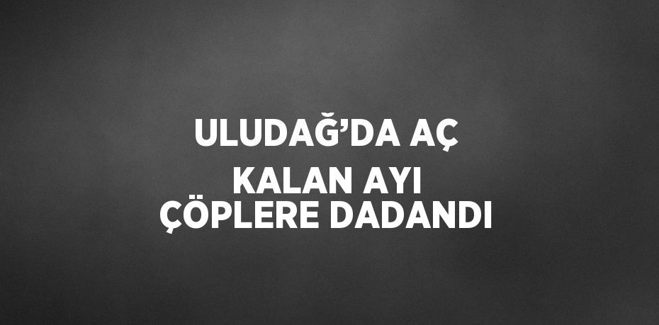 ULUDAĞ’DA AÇ KALAN AYI ÇÖPLERE DADANDI