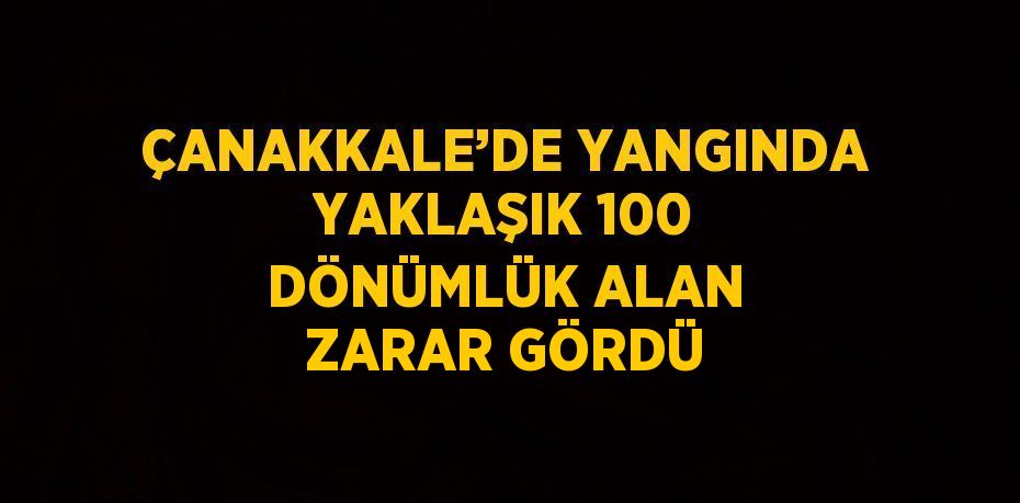 ÇANAKKALE’DE YANGINDA YAKLAŞIK 100 DÖNÜMLÜK ALAN ZARAR GÖRDÜ