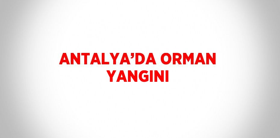 ANTALYA’DA ORMAN YANGINI