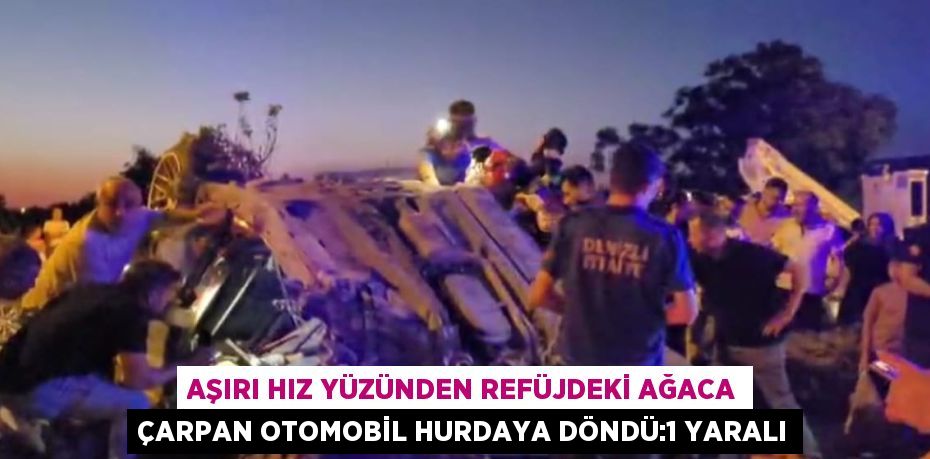 AŞIRI HIZ YÜZÜNDEN REFÜJDEKİ AĞACA ÇARPAN OTOMOBİL HURDAYA DÖNDÜ:1 YARALI