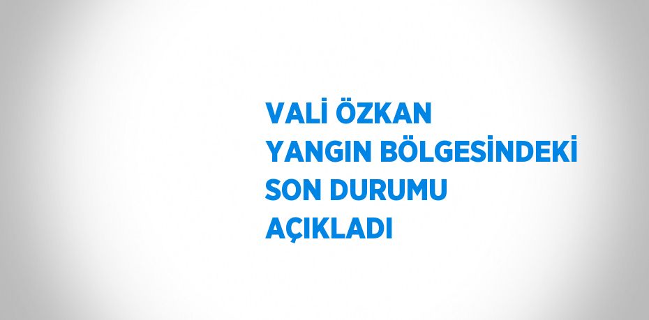 VALİ ÖZKAN YANGIN BÖLGESİNDEKİ SON DURUMU AÇIKLADI