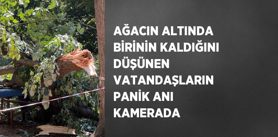 AĞACIN ALTINDA BİRİNİN KALDIĞINI DÜŞÜNEN VATANDAŞLARIN PANİK ANI KAMERADA