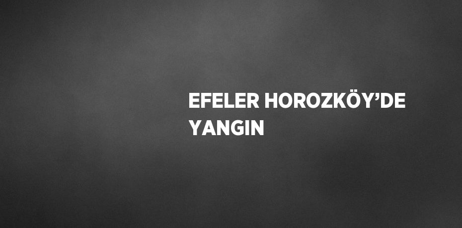 EFELER HOROZKÖY’DE YANGIN