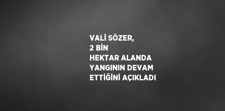 VALİ SÖZER, 2 BİN HEKTAR ALANDA YANGININ DEVAM ETTİĞİNİ AÇIKLADI