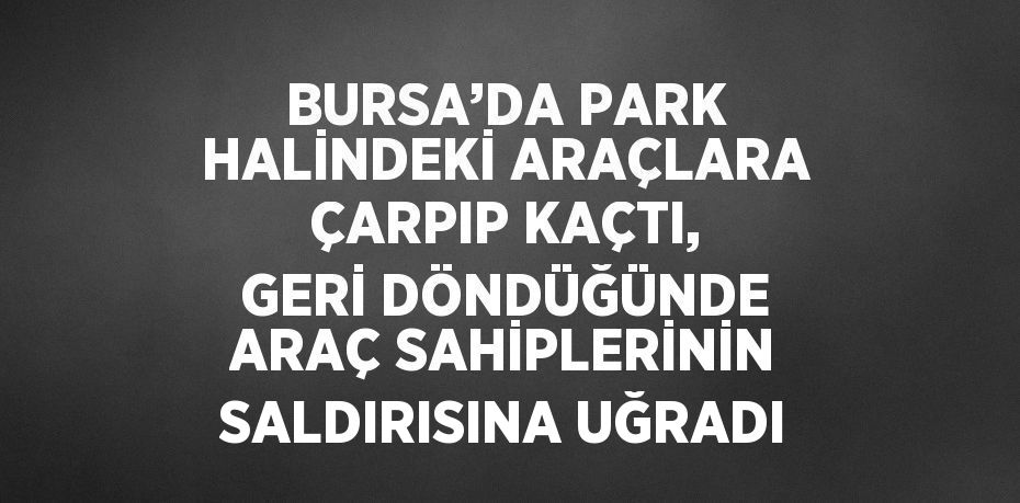 BURSA’DA PARK HALİNDEKİ ARAÇLARA ÇARPIP KAÇTI, GERİ DÖNDÜĞÜNDE ARAÇ SAHİPLERİNİN SALDIRISINA UĞRADI