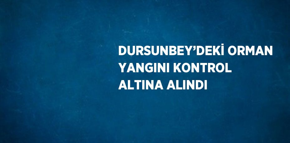 DURSUNBEY’DEKİ ORMAN YANGINI KONTROL ALTINA ALINDI