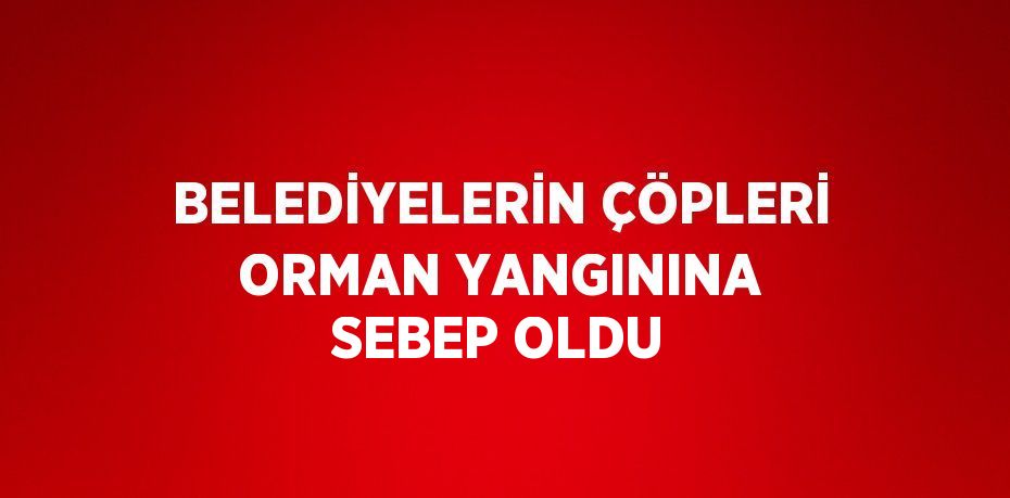 BELEDİYELERİN ÇÖPLERİ ORMAN YANGININA SEBEP OLDU