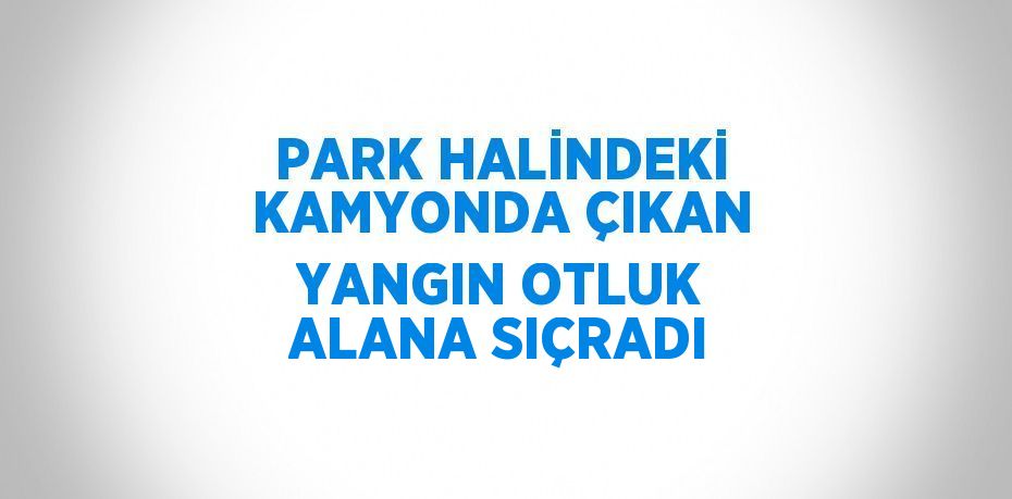 PARK HALİNDEKİ KAMYONDA ÇIKAN YANGIN OTLUK ALANA SIÇRADI