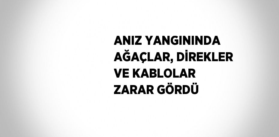 ANIZ YANGININDA AĞAÇLAR, DİREKLER VE KABLOLAR ZARAR GÖRDÜ
