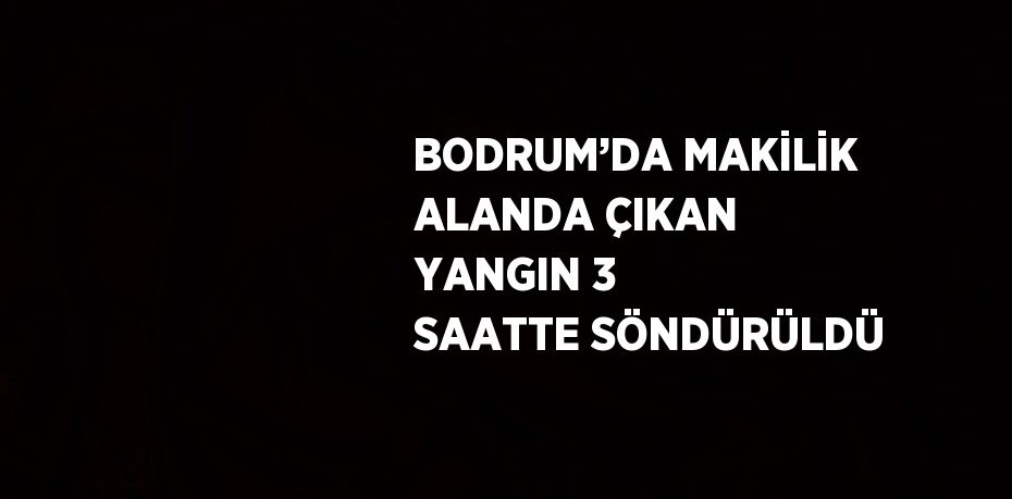BODRUM’DA MAKİLİK ALANDA ÇIKAN YANGIN 3 SAATTE SÖNDÜRÜLDÜ