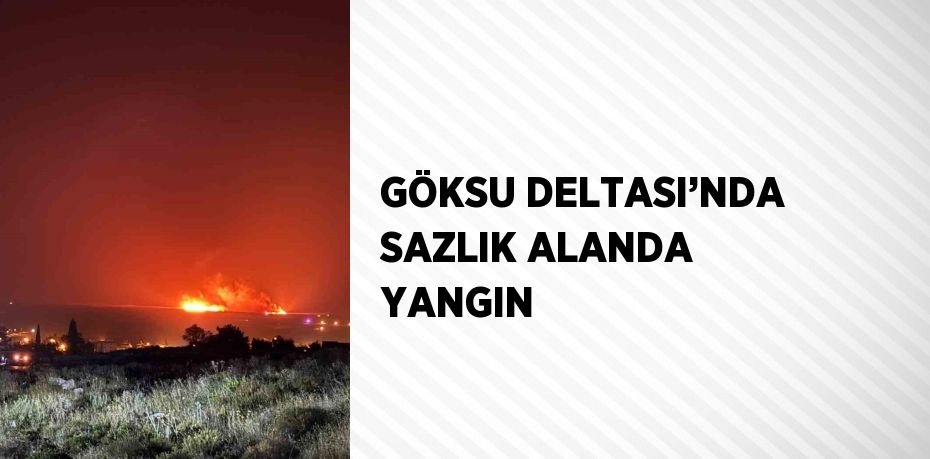 GÖKSU DELTASI’NDA SAZLIK ALANDA YANGIN