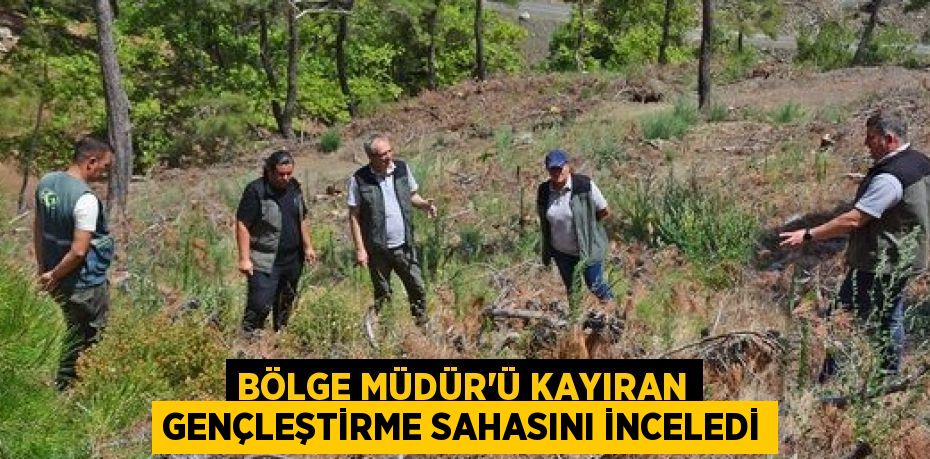 BÖLGE MÜDÜR’Ü KAYIRAN GENÇLEŞTİRME SAHASINI İNCELEDİ